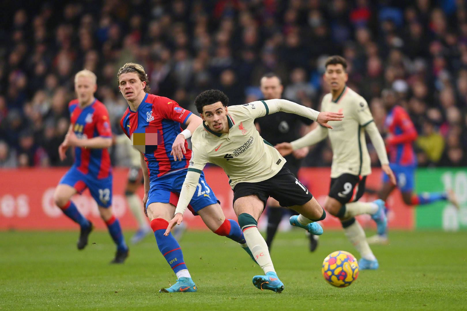 球队和球迷 球队和球迷