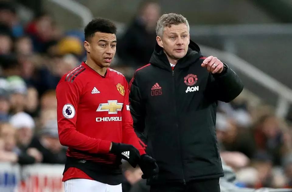 对手或许习 对手或许习